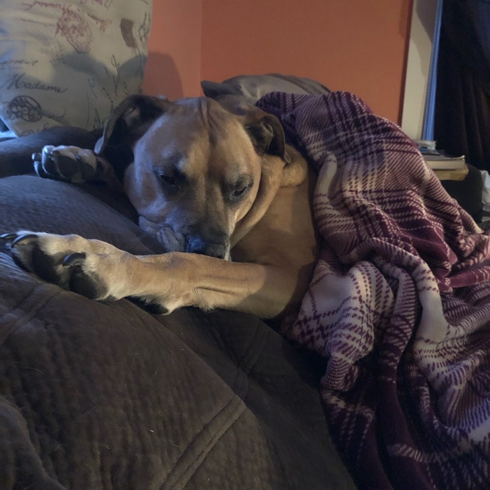 Meet your Posher, Tirah